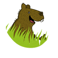 Peru Selva Sticker by Y Tú Qué Planes