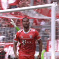 Football Win GIF by FC Bayern Munich
