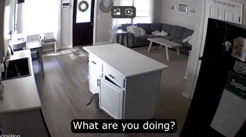 uuusssuuu giphyupload GIF