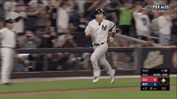Yankees GIF by Jomboy Media