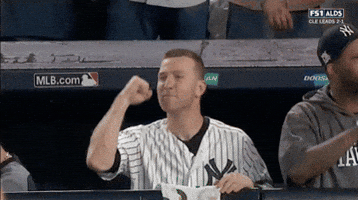 Yankees GIF by Jomboy Media