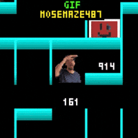 Maze 487 Mose GIF