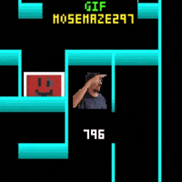 Maze 297 Mose GIF