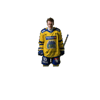 Gatenby Sticker by Storhamar Hockey