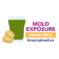 Brain Saver Sticker by Medical Medium