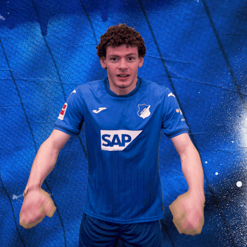 Sport Bundesliga GIF by TSG Hoffenheim