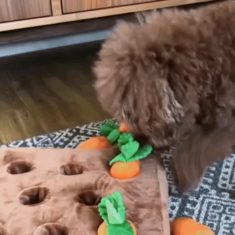 tamslengyel giphyupload GIF
