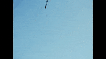 Bite My Tongue GIF by Steve Lacy