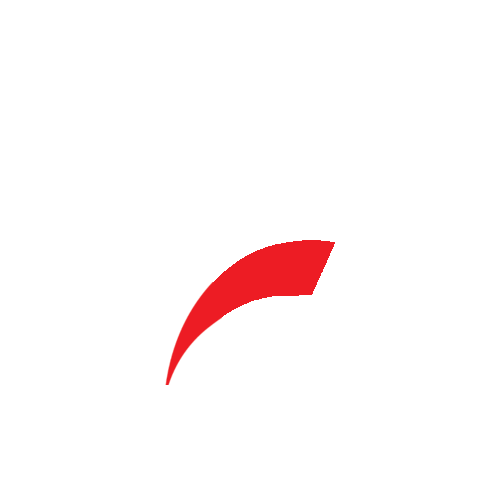 Photography Detailing Sticker by pgpermaglass