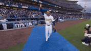 Los Angeles Dodgers Sport GIF by MLB