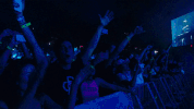 GIF by Alesso