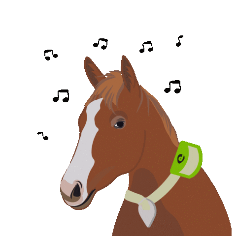 Musica Horse Sticker by Digitanimal