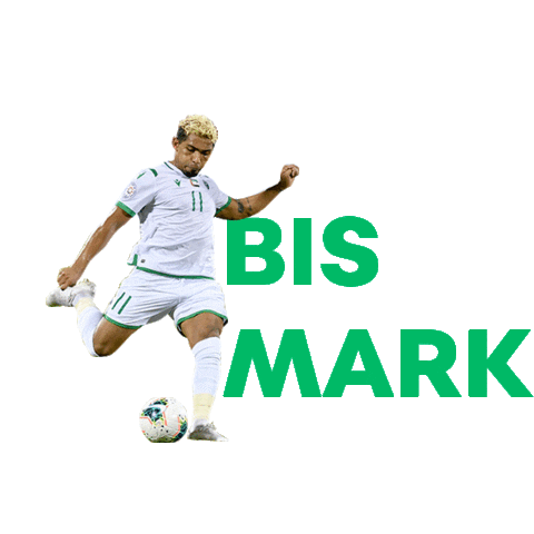 Sticker by Avante Sports