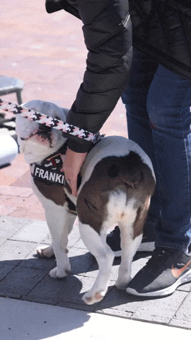 GIF by TrademarkCreativeStudios