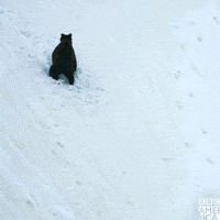 Television Falling GIF by BBC America