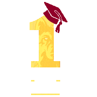 Nsu Gowolves Sticker by NorthernStateU