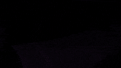 Charizard GIF by Pokémon