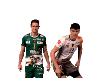 Team Volleyball Sticker by trefl_gdansk