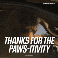 Pawsitivity GIF by Ram Trucks