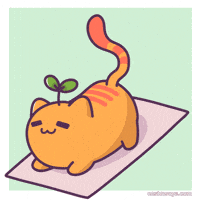 Downward Dog Cat GIF by Castaways
