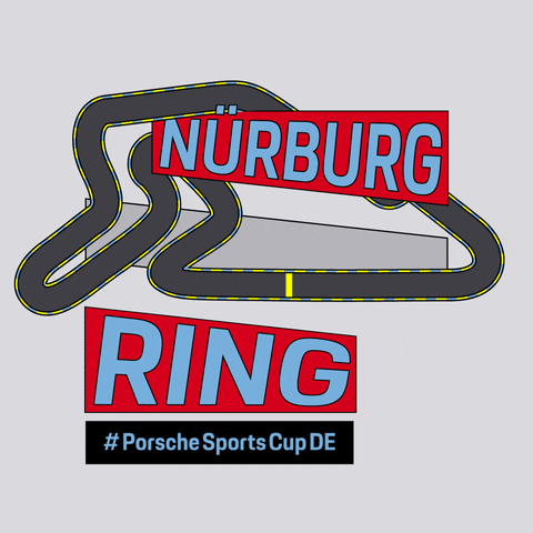 Racing Race GIF by Porsche Carrera Cup Deutschland