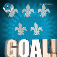Voetbalvereniging_Scherpenzeel goal voetbal blauwwit hoofdklasse GIF