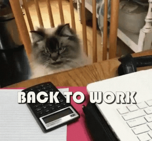 Back To Work Rise And Grind GIF