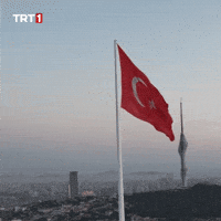Turkey Turkish GIF by TRT