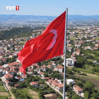 Turkey Turkish GIF by TRT