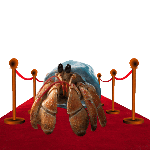 Ocean Life Animation Sticker by JoinZuzu