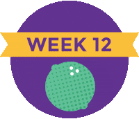 Pregnancy Baby Size Sticker by What to Expect