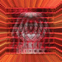 Ski Skiimask GIF by DollBabyCouture