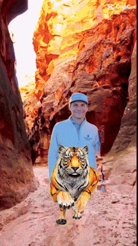 Pga Tour Looper GIF
