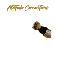 Askandrea GIF by Altitude Connections