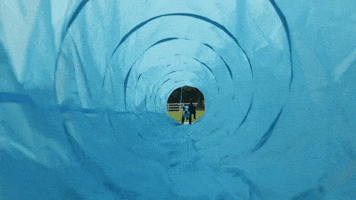 Animal Planet GIF by Puppy Bowl