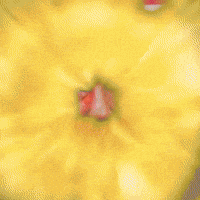 Jankeyframes GIF