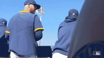 Avisail Garcia Sport GIF by Milwaukee Brewers