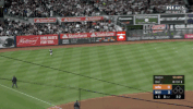 Yankees Alcs GIF by Jomboy Media