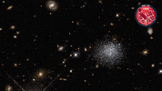 Deep Space Stars GIF by ESA/Hubble Space Telescope
