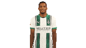 Borussia Moenchengladbach Thumbs Up Sticker by Bundesliga