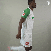 Football Soccer GIF by FC Augsburg 1907