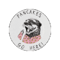 Jimbobart illustration breakfast brunch otter Sticker
