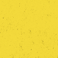 SVLeibenstadt1946 svl 1946 gelbschwarz dorfverein GIF