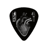 Heart Fetch Sticker by dvm360