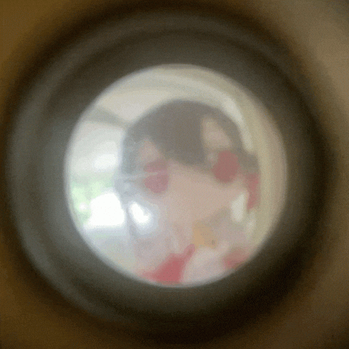 Fisheye Peephole GIF