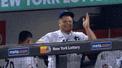 Happy Ny Mets GIF by New York Mets