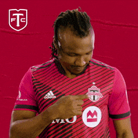 Represent Major League Soccer GIF by Toronto FC