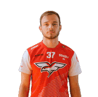 Floorball Hales Sticker by Český florbal