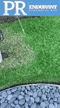 Grass Lawn GIF by ENDURANT TURF PAINT
