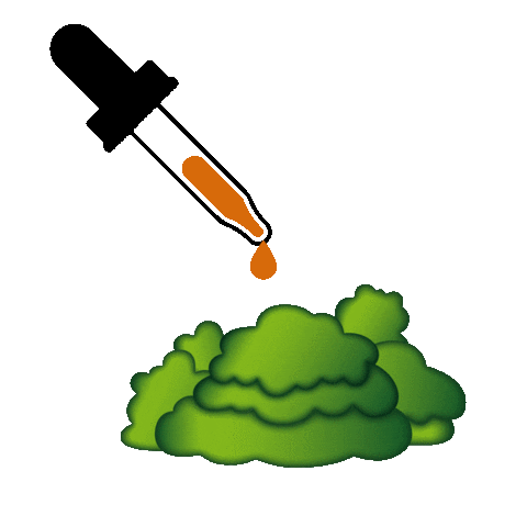 Oil Bush Sticker by True Botanicals